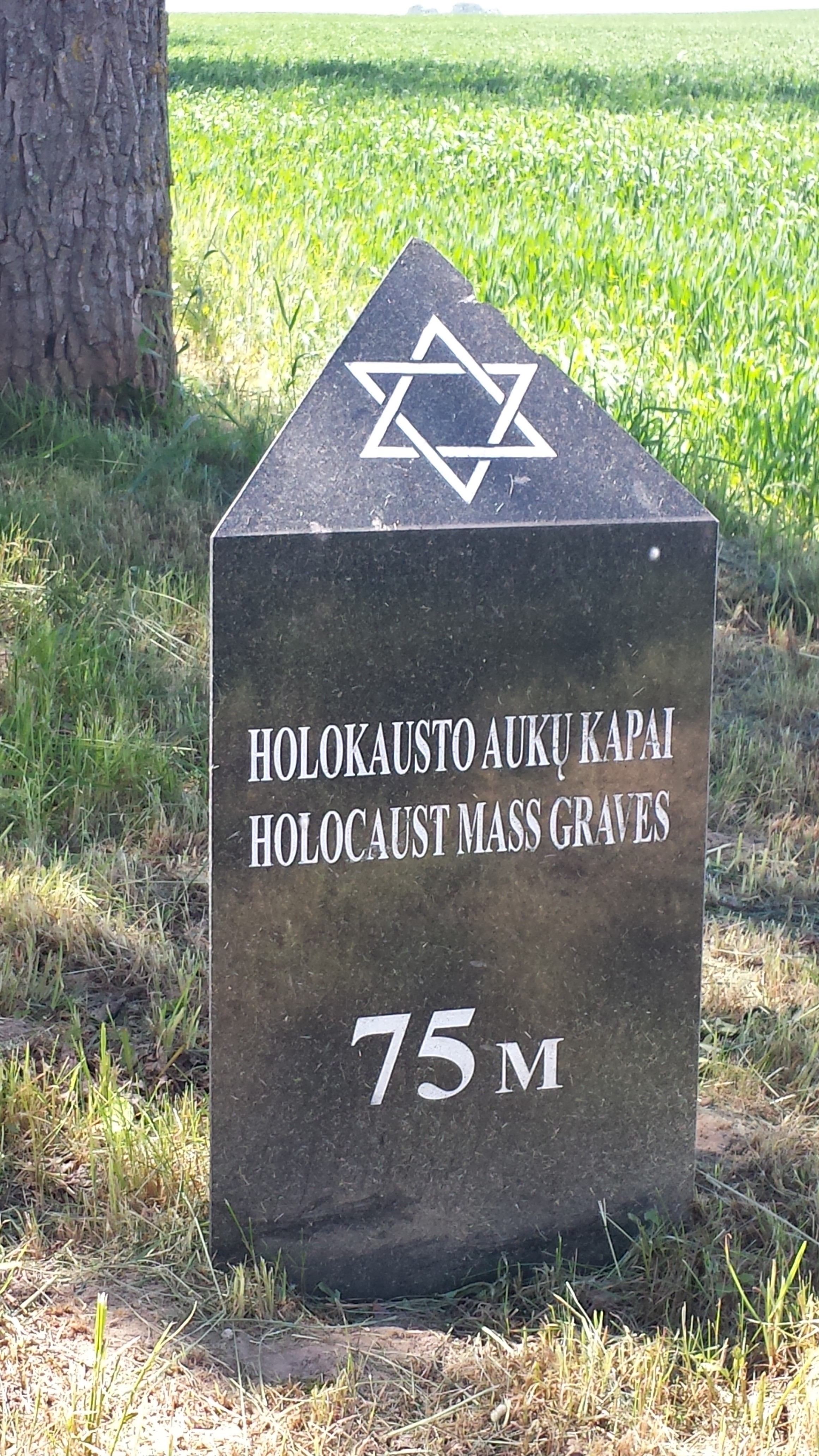 Vilkaviškis Kybartai holokausto auku kapai