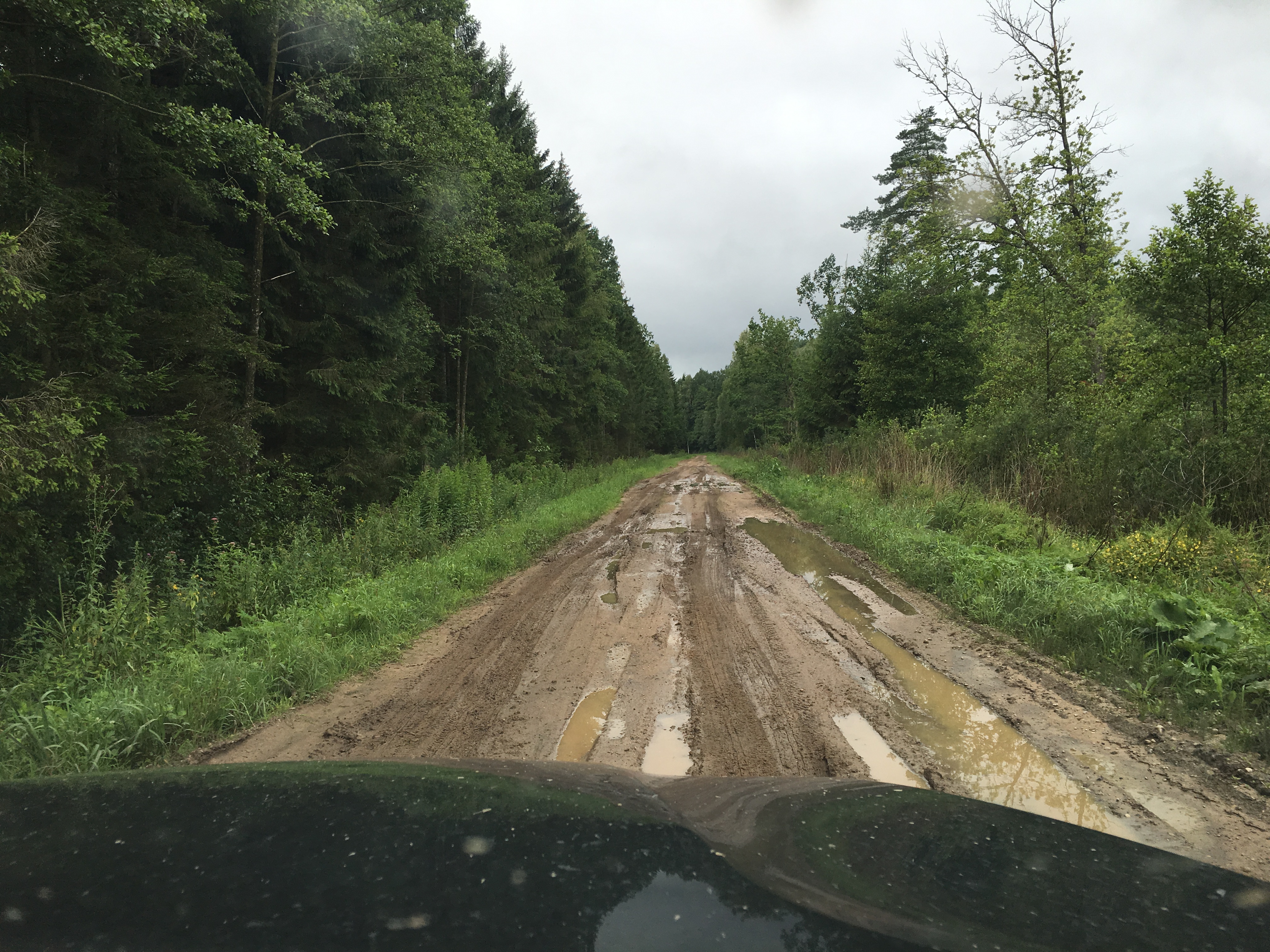 Šakių MU kelias Baltkojų girininkijoje prieš remontą