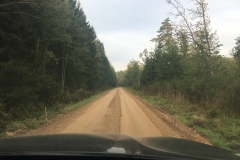 Šakių MU kelias Baltkojų girininkijoje po remonto