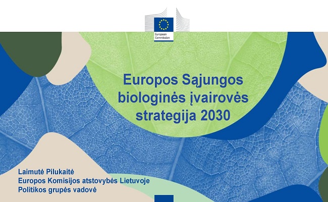 biologinės įvairovės strategija es 2022 m)